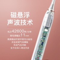 金正(NiNTAUS)声波电动牙刷白色 IPX7级防水 杜邦刷毛 五大智能模式智能压力感应感应式充电智能换区JZ-X5B