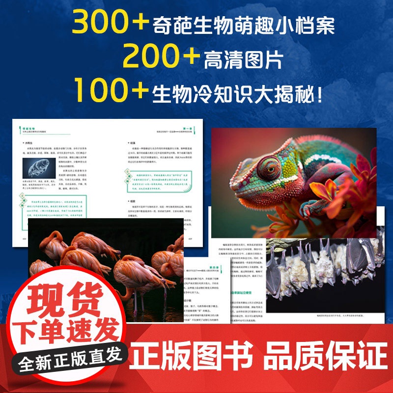 怪诞生物:世界上疯狂离奇的生物趣闻(一本颠覆认知、爆笑有趣的奇葩生物百科全书!300+份生物档案,100+个生物冷知识大高清大图