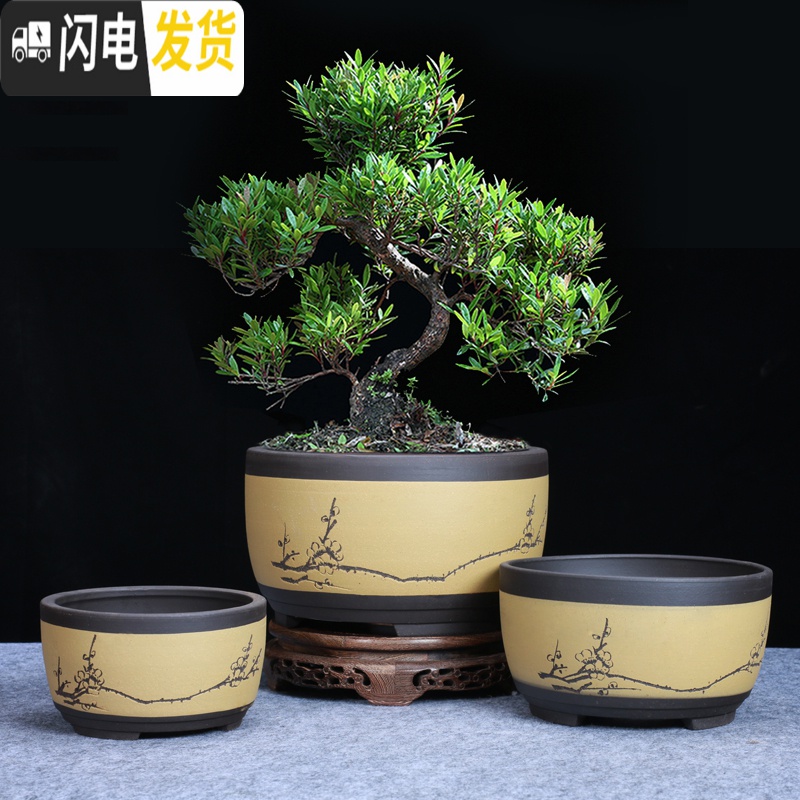 三维工匠紫砂花盆 兰花盆 微瑕捡漏 大号简约个性多肉花盆绿萝 君子兰花盆 白色s832精品矮四方 中等花盆容器高清大图