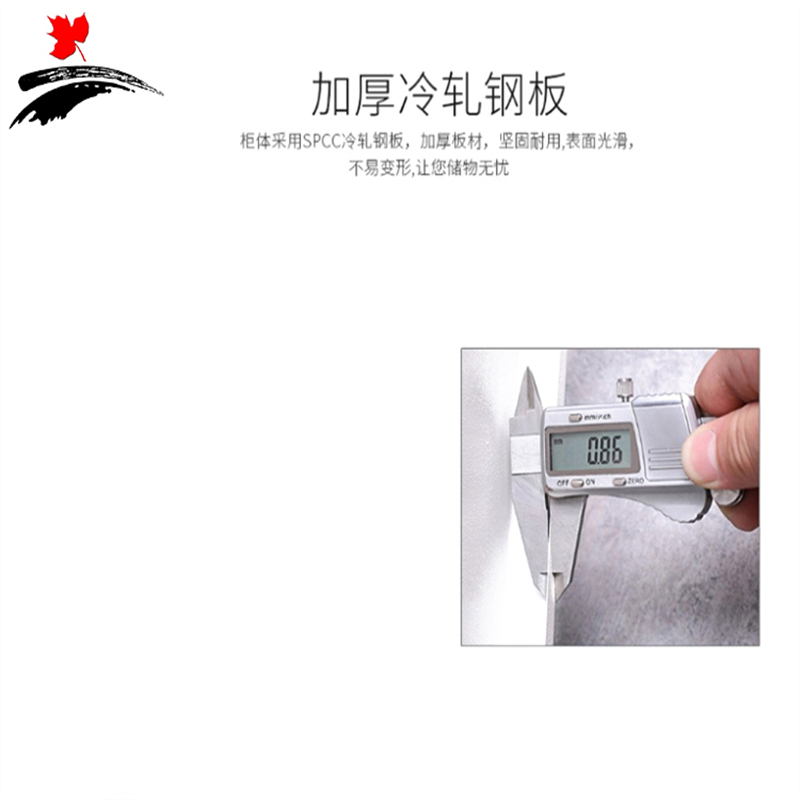 丰叶卓邦 文件柜 储物五门柜FY-XGYSG3501T 个