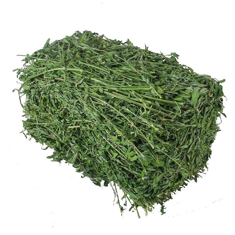 新鲜草苜蓿草2LB宠物饲料豚兔子龙猫鼠粮宠物牧草A级苜蓿草高清大图