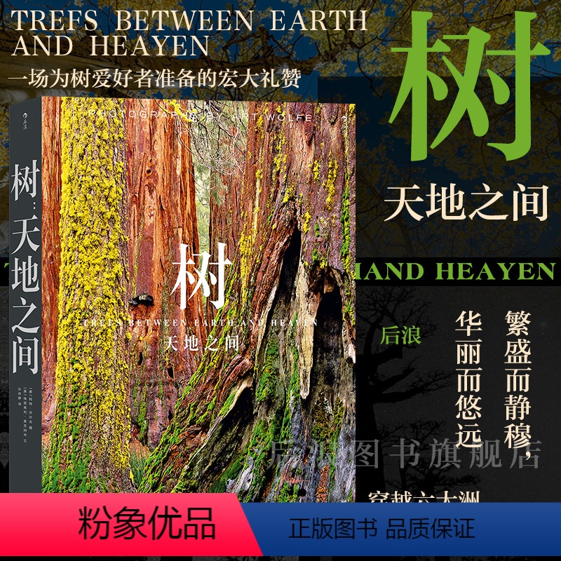 【正版】 树 天地之间 传奇摄影师阿特沃尔夫 近300张照片呈现树之星球 自然风光摄影艺术收藏画册