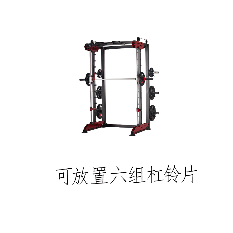 迈特森史密斯机(轻商用)GM6103高清大图