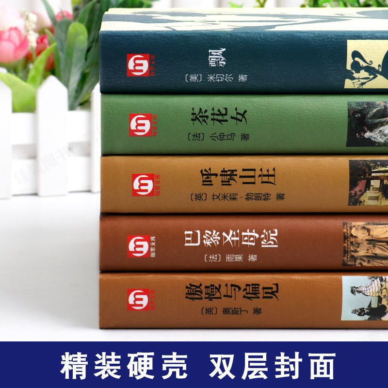 [全6册]世界六大名著 [正版]全6册傲慢与偏见简爱巴黎圣母院飘茶花女呼啸山庄原著中文全译本完整无删减世界文学名著小说青