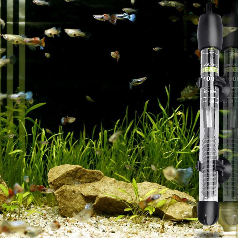 温度热水小鱼缸加热棒小号小型庭养鱼带电热水器快速水族箱悬浮高清大图