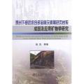 贵州下寒武统含多金属元素黑色页岩系成因及应用矿物学研究