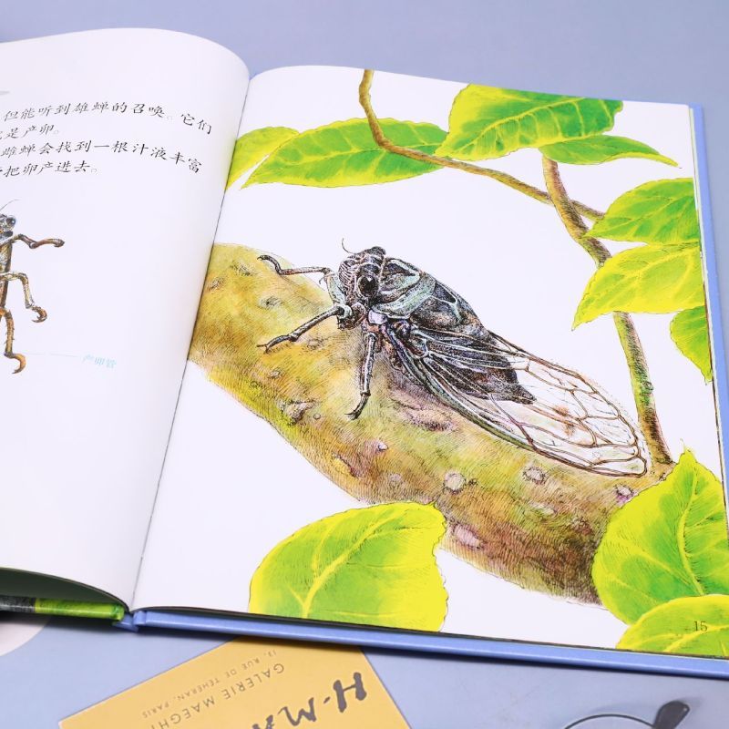 铁甲清道夫--蜣螂 [正版]昆虫绘美绘本夏季歌者(8册)可以单发 儿童绘本科普百科 精装硬壳硬皮 3-6岁儿童阅读 亲子
