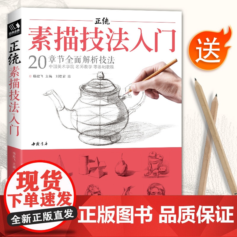 正统素描技法入门 零基础自学教程书籍铅笔绘画画册临摹范本单体sh高清大图