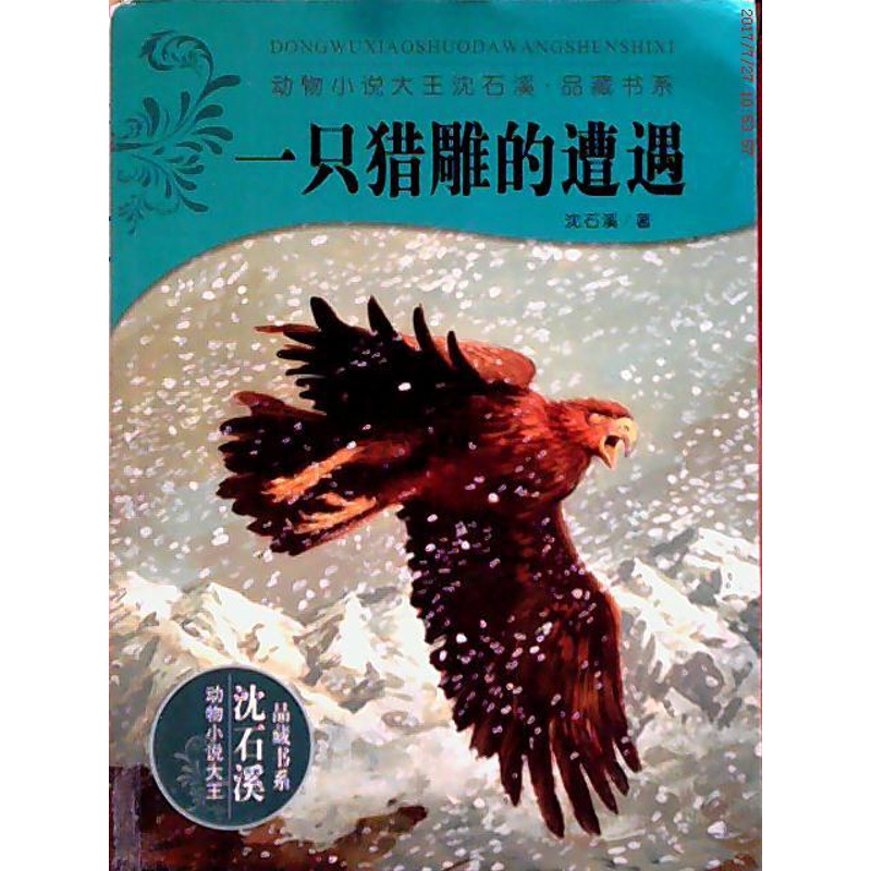[醉染正版]一只猎雕的遭遇(动物小说大王沈石溪·品藏书系)沈石溪9787534265068浙江出版联合出版社 浙江少年儿高清大图