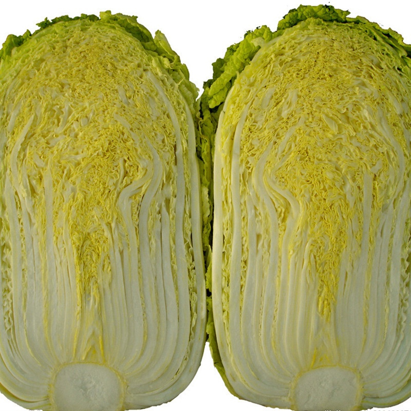 山东特产三里河大白菜 非胶州大白菜 2.5kg/颗 新鲜蔬菜 2.5kg*1颗