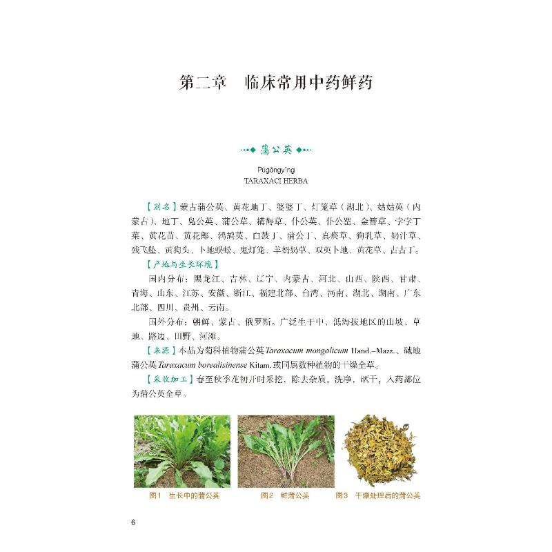 【M】中药鲜药治疗疑难病症-9787521427318