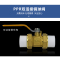 PPR双活接铜球阀热熔钢芯球阀自来水纯铜止回阀管件阀门水管开关,20(4分)双活接铜球阀,一个