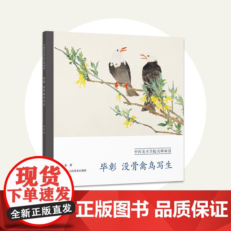 毕彰 没骨草虫写生 中国美术学院名师画谱 国画常见草虫绘画技法训练步骤解析临摹教材 高清画谱范本基础教程书籍供初学者学习高清大图