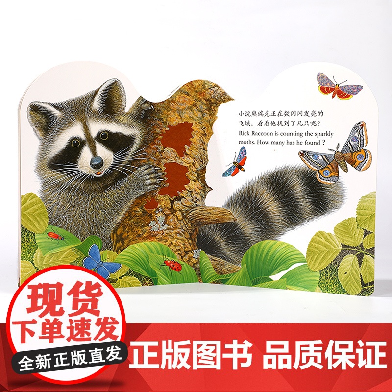 亮丽精美触摸书小猫头鹰奥奇小兔比利0-3岁幼儿早教宝宝启蒙故事书儿童婴儿不易撕烂触感刺激感官认知书 正版书籍高清大图