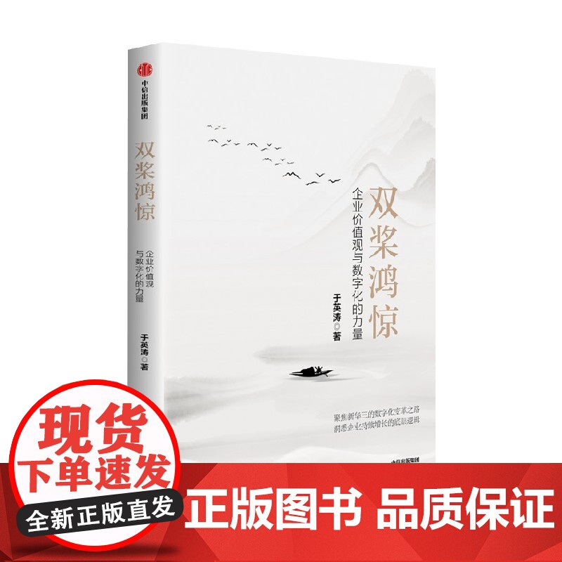 双桨鸿惊 企业价值观与数字化的力量 于英涛著 新华三数字变革之路 企业持续增长的底层逻辑 管理高清大图