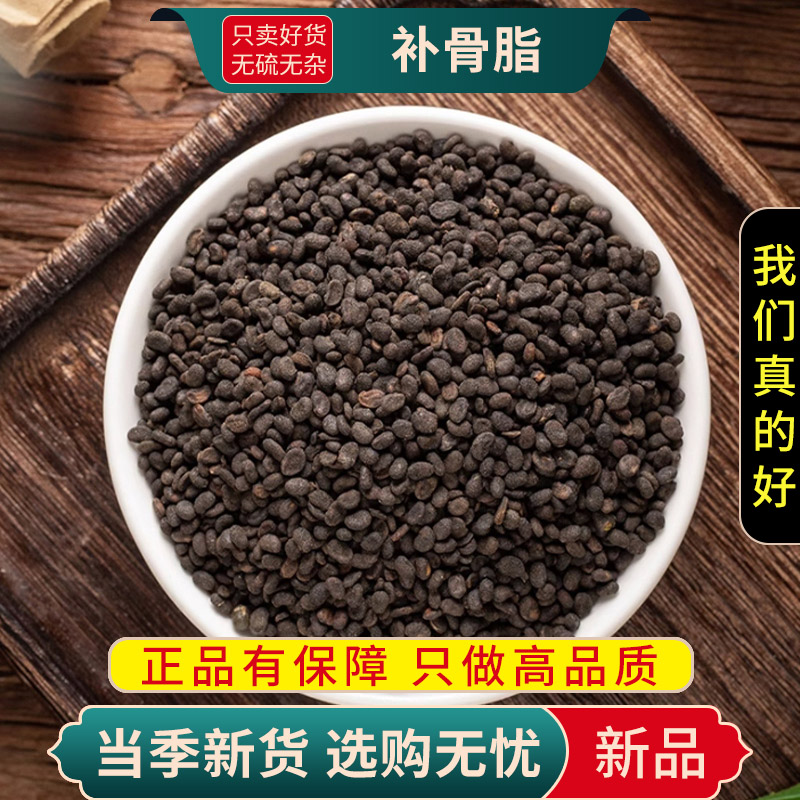 补骨脂100克干货正品新货破故纸补骨脂黑故子婆固脂9260高清大图