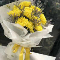 鼎卉鲜花速递清明节扫墓上坟殡葬鲜花10朵白菊花花束丧事吊唁祭奠追悼全国同城配送【流芳百世】10朵白菊花束