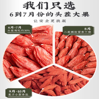 [2罐装]丰凯园生态绿标枸杞250g枸杞子宁夏特级500g无硫熏不染正宗枸记红狗杞子构纪干官方旗舰店