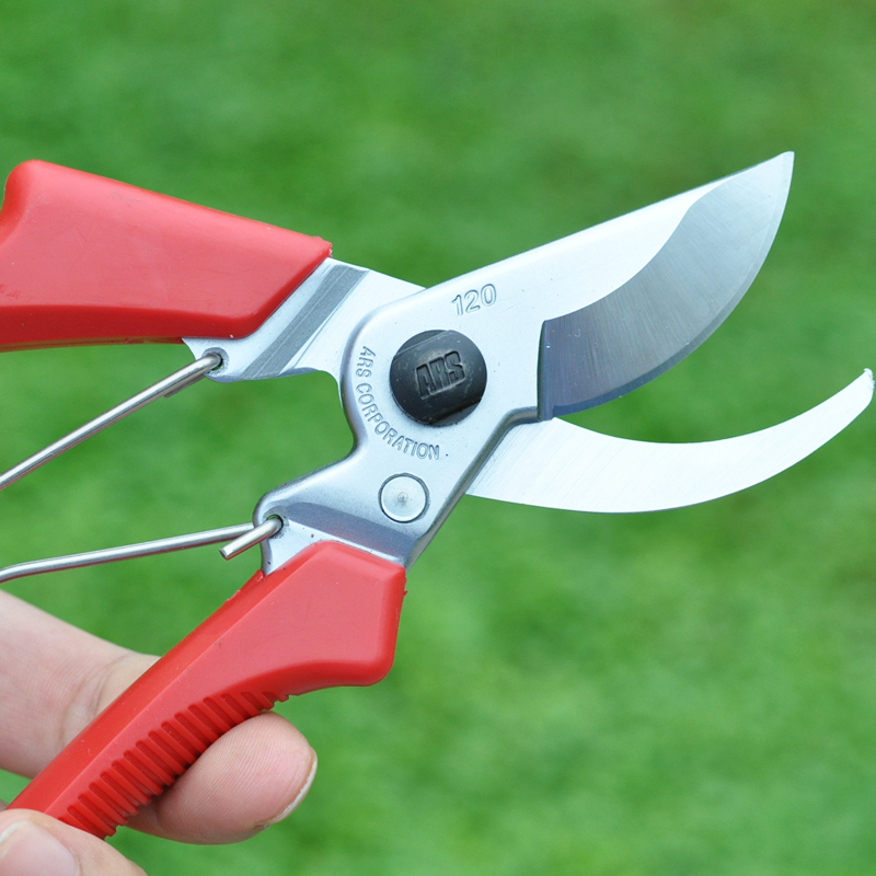 日本进口修枝剪刀树枝剪果树剪子园艺手剪刀园林粗枝剪工具
