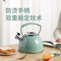 炊大皇 ROYAL热水壶RY25BT