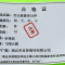 飞翔大雁 荧光黄夏季马甲 特 大 中 小 件
