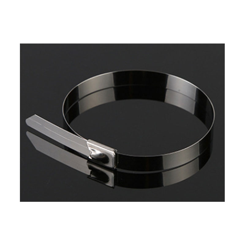 天远鑫景不锈钢扎带15mm*600mm*100/包包高清大图