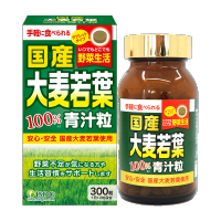 [青汁颗粒]ISDG 植物益生元青汁 日本进口青汁颗粒 膳食营养补充剂 300粒/瓶