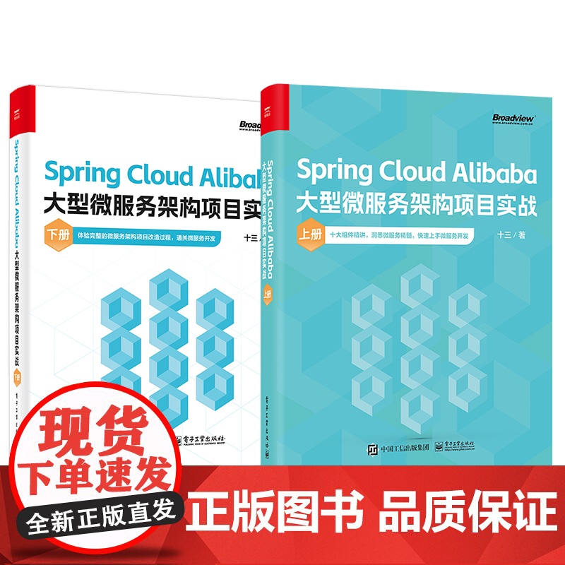 店 Spring Cloud Alibaba大型微服务架构项目实战 上下册 十三 著 微服务架构项目落地实战书籍 洞高清大图