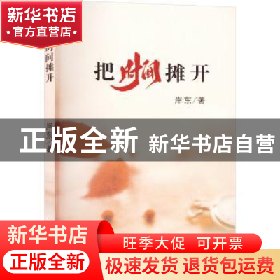 正版 把时间摊开 岸东著 宁夏人民出版社 9787227076711 书籍