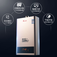 小霸王 DS6010燃气热水器家用10L天然气智能变频恒温特价强排式