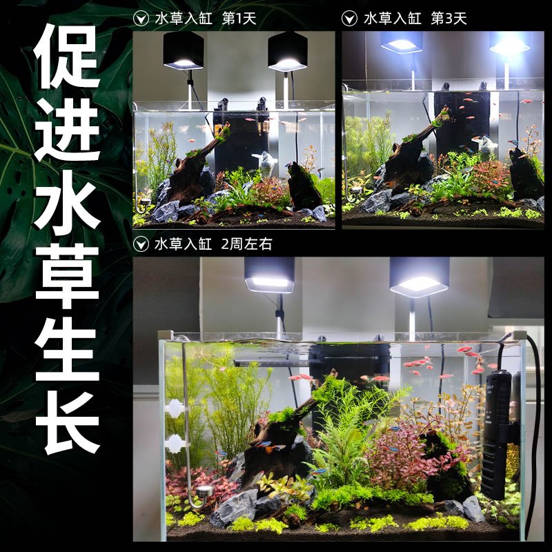 筒灯鱼缸灯水灯led灯防水全光谱缸灯照明水族箱灯支架灯高清大图