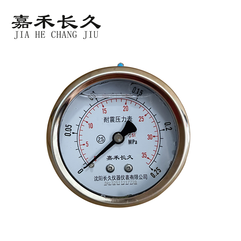 嘉禾长久 耐震压力表轴向 YTN60Z 0-0.25Mpa 块高清大图