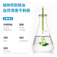 芳香贴36贴[薄荷]口罩芳香贴 卡通清凉口罩贴 香薰清新香味口罩香氛贴A1918苏宁极物