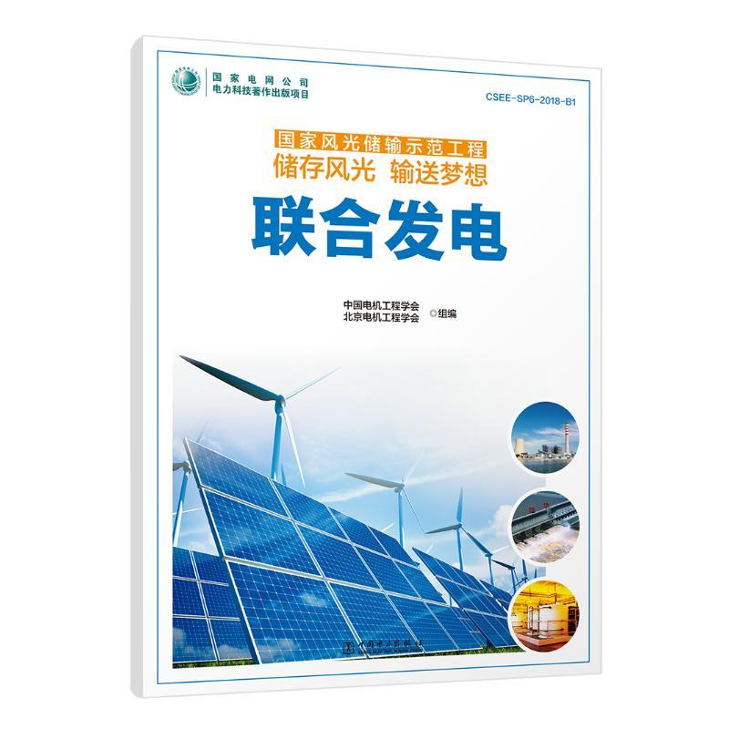 正版新书】联合发电/国家风光储输示范工程储存风光输送梦想中国