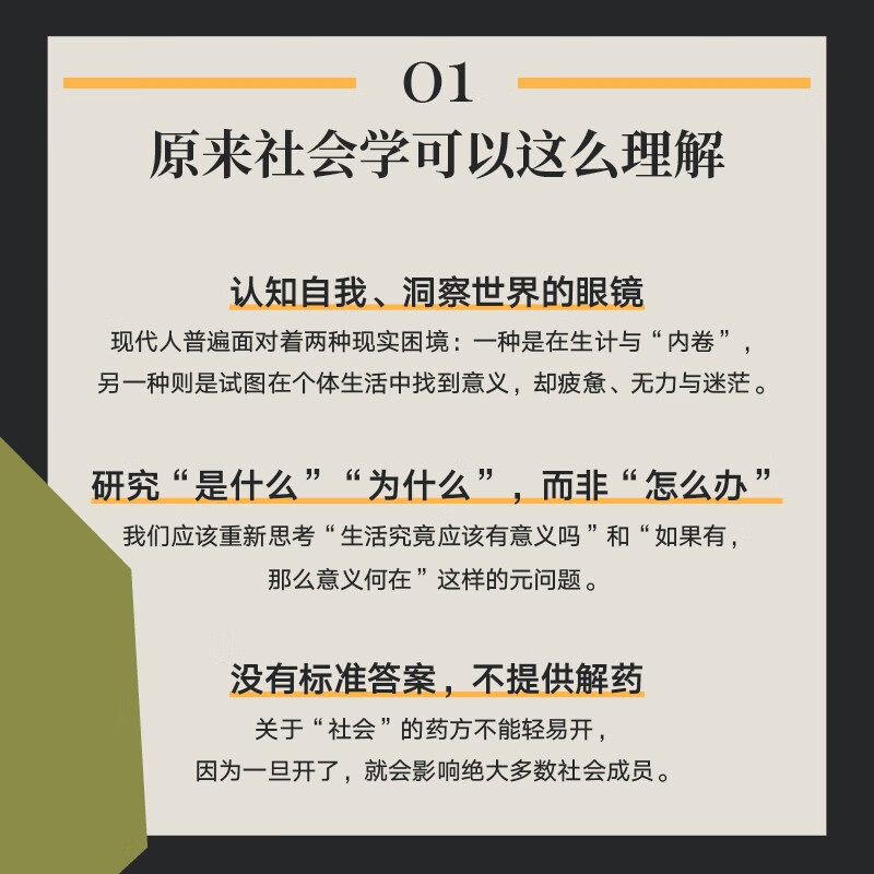 [正版]谁的问题 孟庆延 著 现代社会的非标准答案 写给焦灼迷茫的现代人 刘擎施展李筠 用社会学思维对抗精神内耗 社会高清大图
