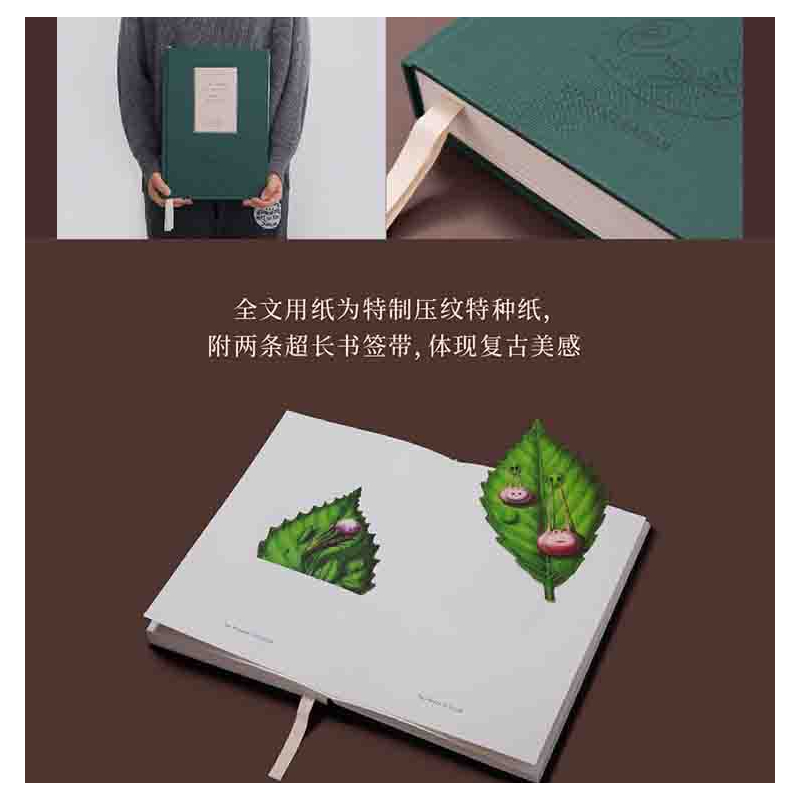 [正版]自然纪事:塞拉菲尼原画复刻版 随机发货不支持选号 复古原画复刻版艺术珍藏礼盒!神秘天书 未读出品