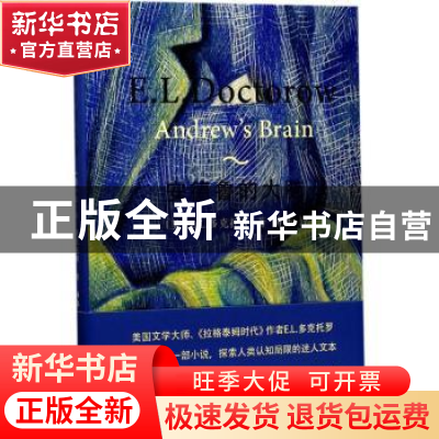 正版 安德鲁的大脑 【美】E.L.多克托罗 著 汤伟 译 上海文艺出版社