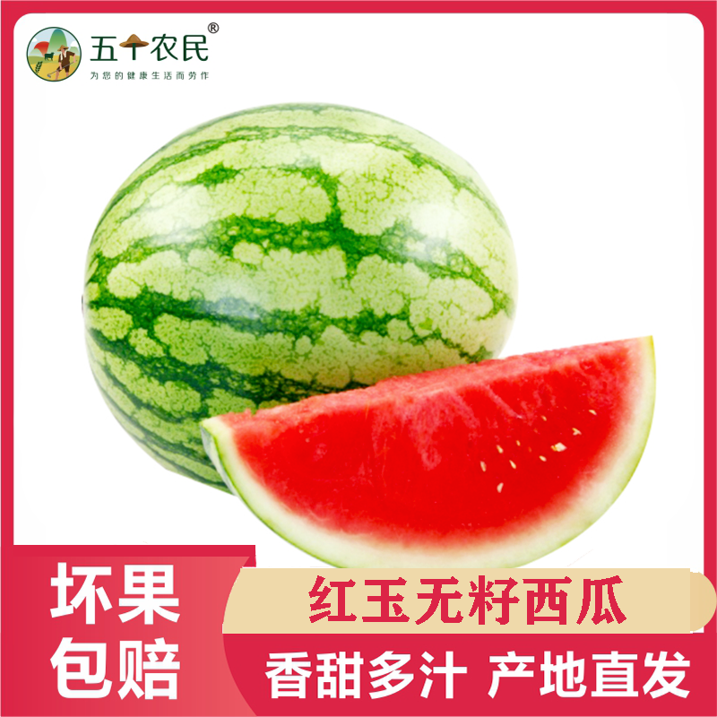 [五个农民]红玉无籽西瓜麒麟西瓜5斤新鲜水果
