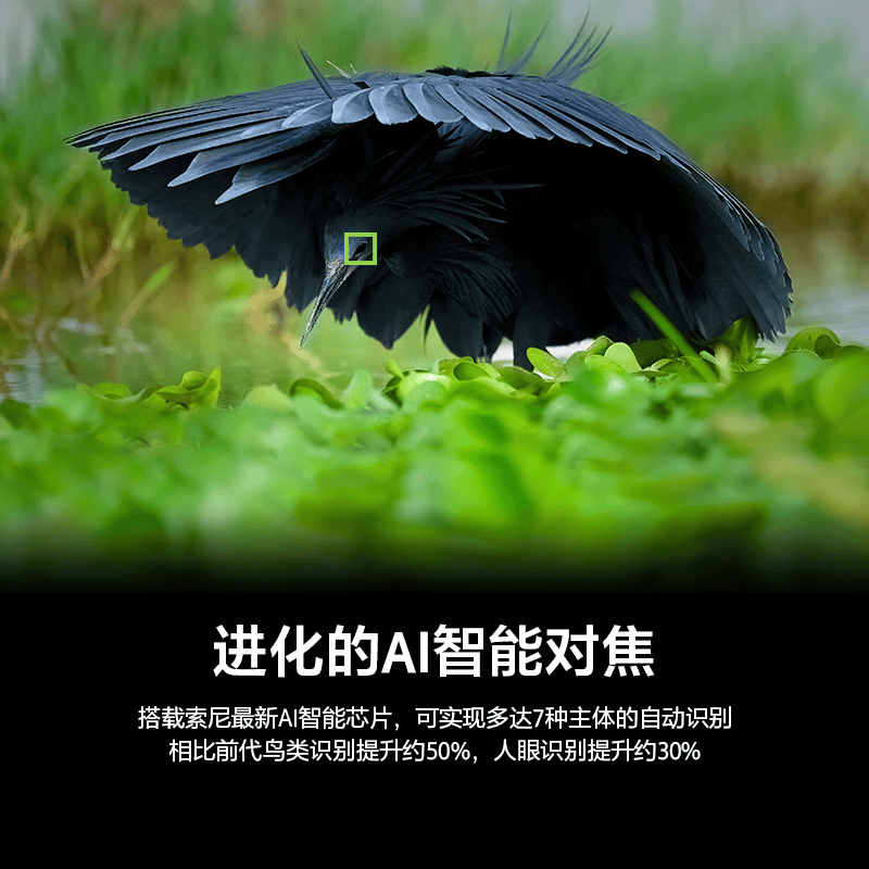 索尼(SONY)Alpha 1 II 新一代全画幅微单™旗舰 打鸟相机A1M2单机身 官方标配高清大图