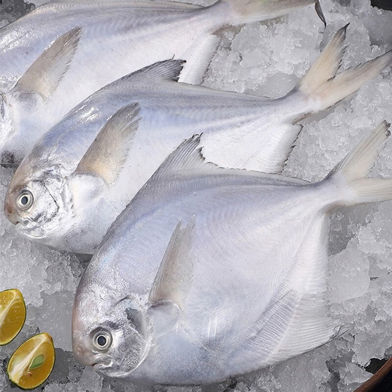 暖心驿站 海颂福海鲜礼盒年货送礼送父母送家人烹饪F款4970g高清大图