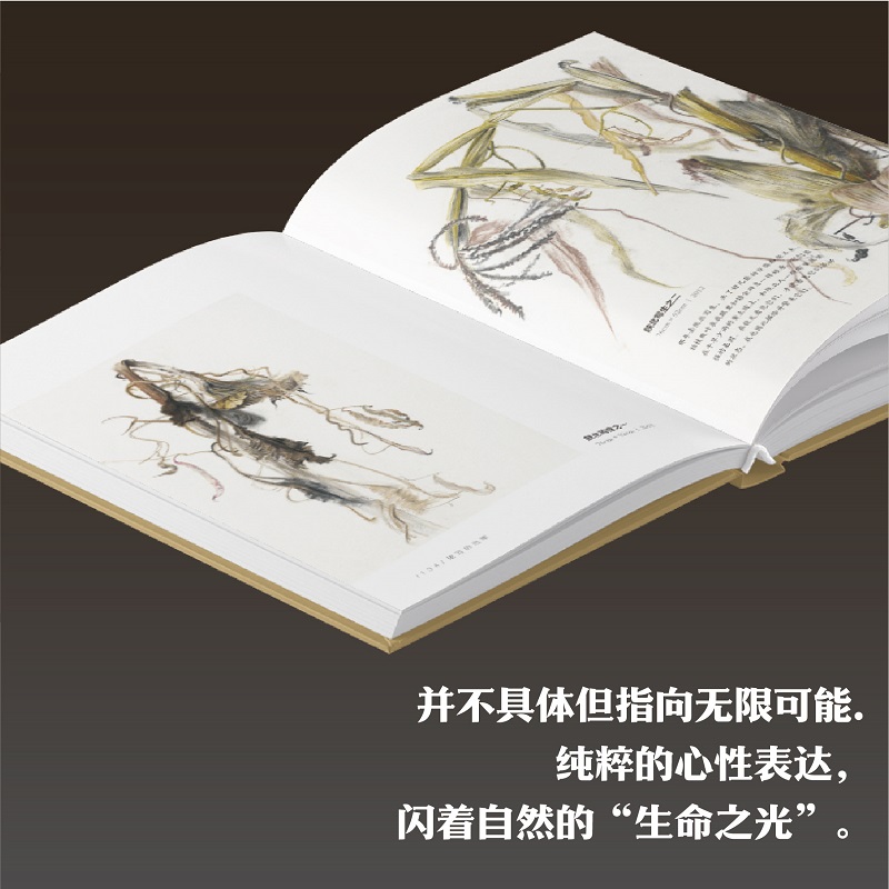 [正版]旗舰速写的边缘 艺术笔记 画家党震的图文艺术随笔集素描入门基础与提高植物动物静物绘画艺术画册艺术家画作研究理论高清大图