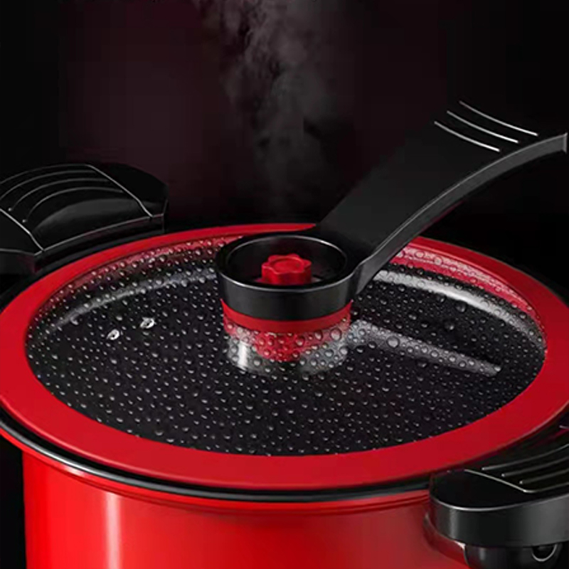 艾姆德-(EMUND) 微压快煮 省时节能 防烫手柄微压锅 锅具 红火今生微压锅-DG-WY22高清大图