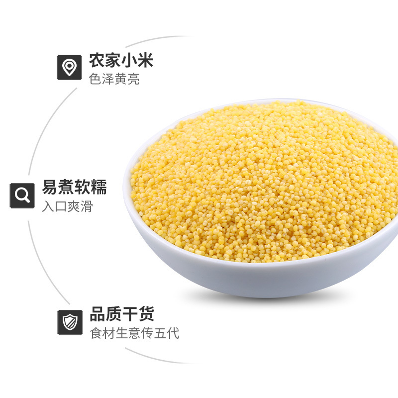 富昌 黄小米500g 八宝米 五谷杂粮 粗粮 小米粥 二米饭