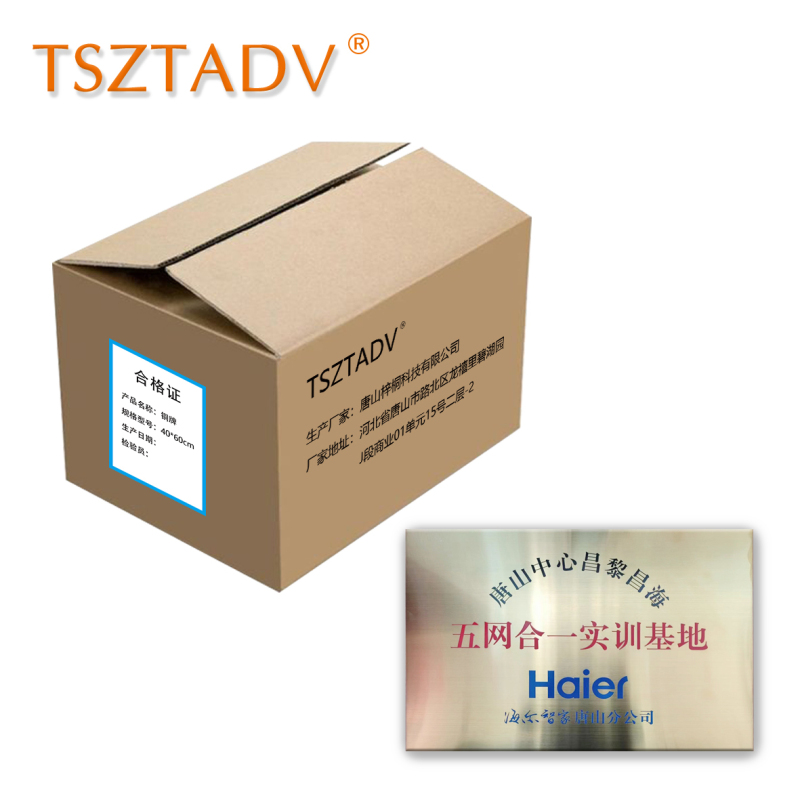 TSZTADV 铜牌 40*60cm 个