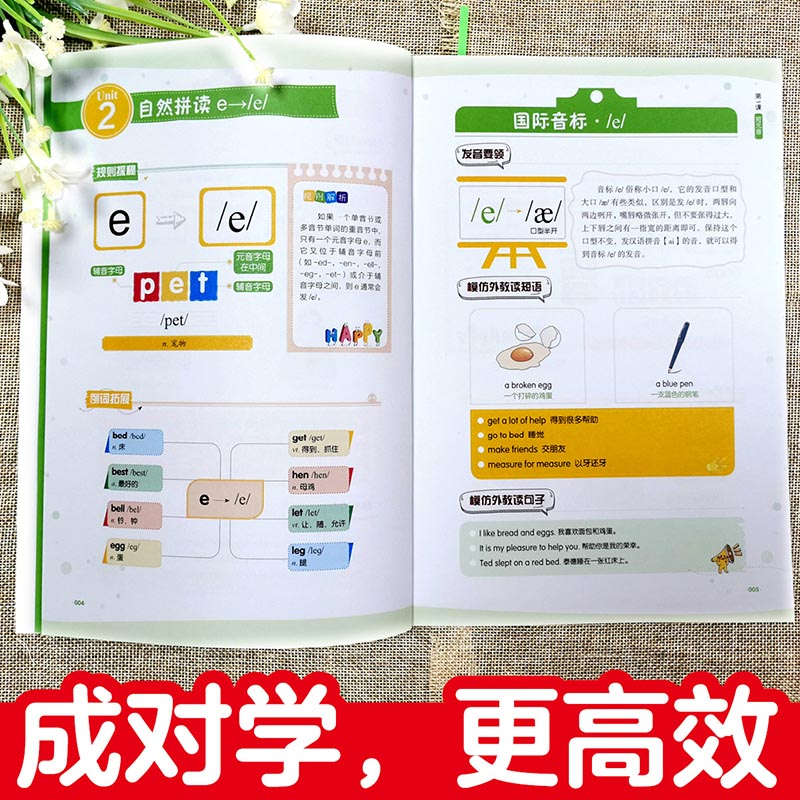 醉染图书图解英语自然拼读与国际音标一本通9787517089674高清大图