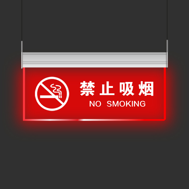 ZOATRON餐厅宾馆洗手间厕所过道走廊悬挂式吊装透明亚克力带灯发光30x15cm 安全通道高清大图