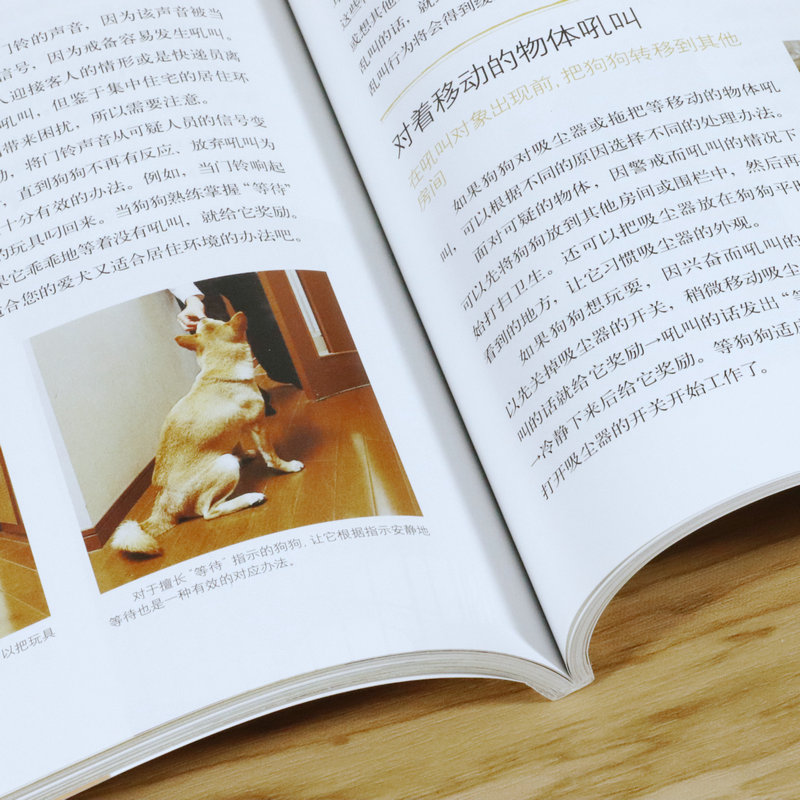 [醉染正版]柴犬养护全程指导 全彩图解柴犬饲养方法养护全程指导宠物狗喂养实用手册新手入门狗狗的日常护理与驯养一本书读懂你高清大图
