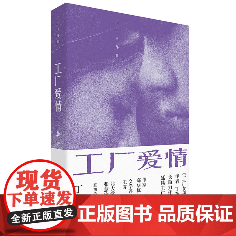 工厂爱情故事 男女爱情 丁燕 著 中国工人出版社 现代当代长篇小说故事书籍高清大图