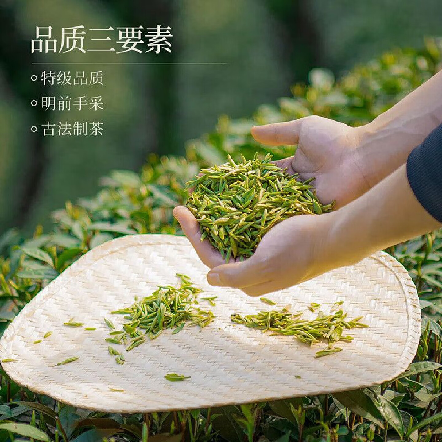忆江南 慢品龙井茶180g礼盒装送礼送客户瓷罐装龙井茶叶高清大图