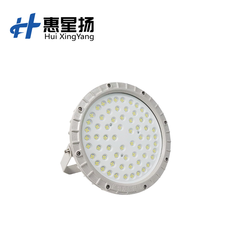 惠星扬 LED防爆投光灯 质量保证家用工厂用灯 EX100W 个